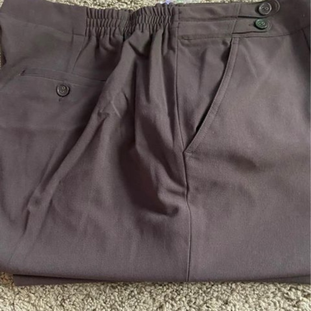 Dress pants.   Tag on $34.99.    Dressbarn.   Size 22